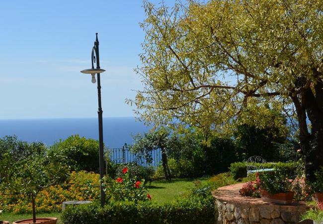 Giardino con vista mare, piante fiorite e un lampione.